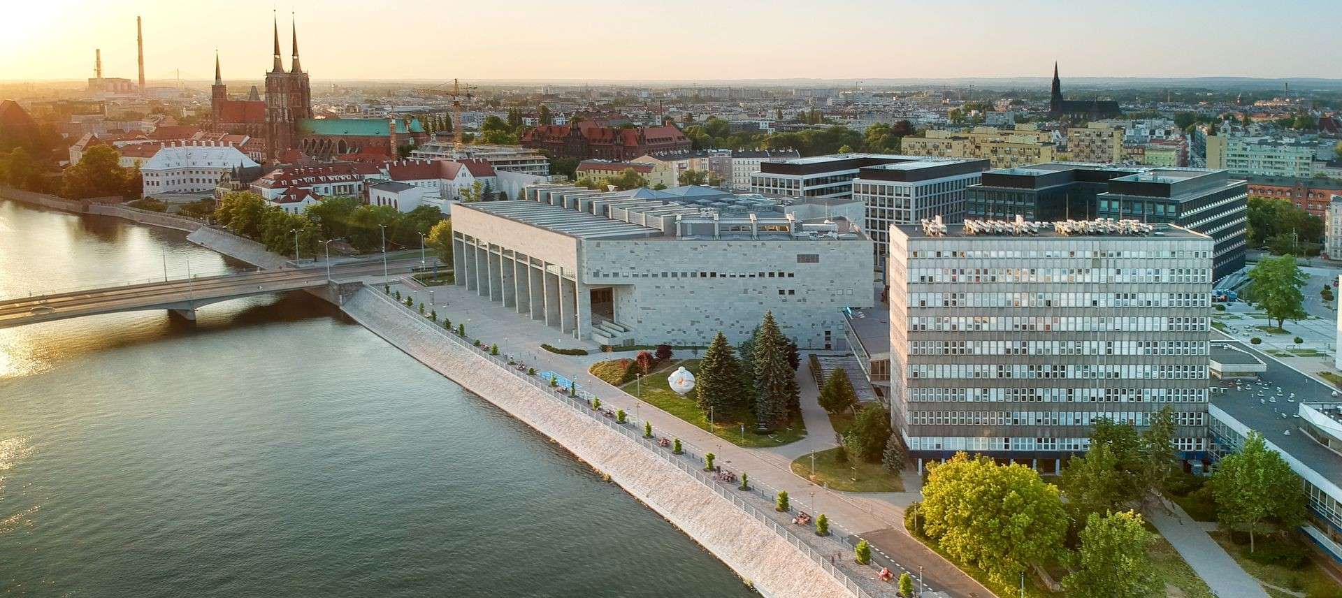 web_2020_header image.jpg